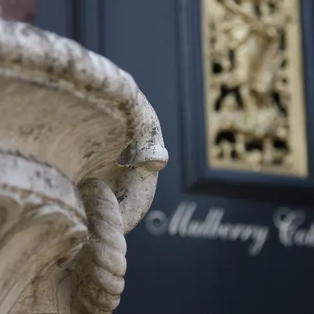 Vakantiehuis Mulberry